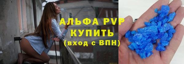 крисы Абаза