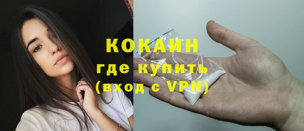 крисы Абаза