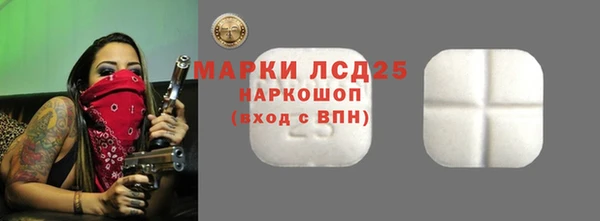 крисы Абаза