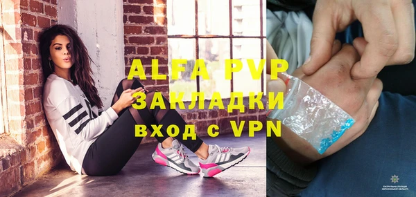 индика Михайловск