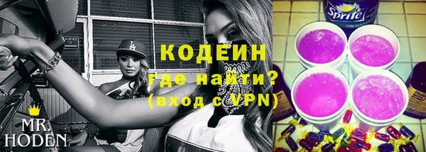 крисы Абаза