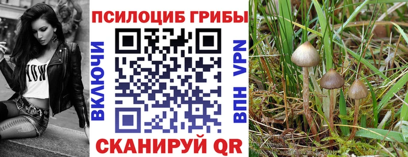 Псилоцибиновые грибы Magic Shrooms Владимир
