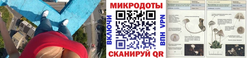 Псилоцибиновые грибы мицелий  Владимир 