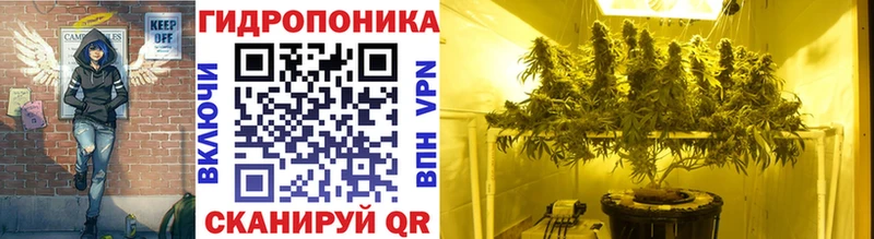shop как зайти  Владимир  Канабис Ganja  цена наркотик 